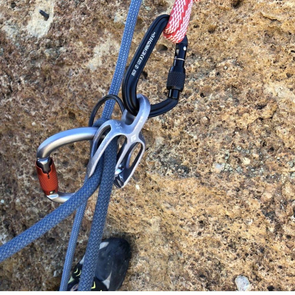 Black Diamond Hotforge Screwgate Carabiner (Grey) - Image 3